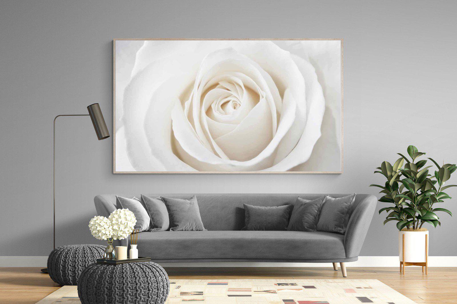 White Rose-Wall_Art-220 x 130cm-Mounted Canvas-Wood-Pixalot