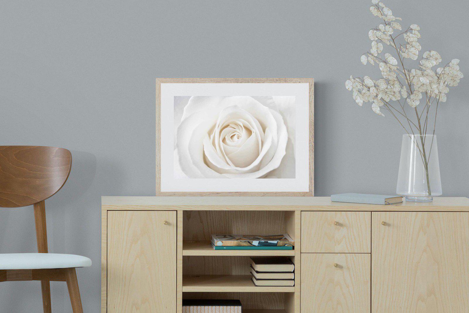 White Rose-Wall_Art-60 x 45cm-Framed Print-Wood-Pixalot