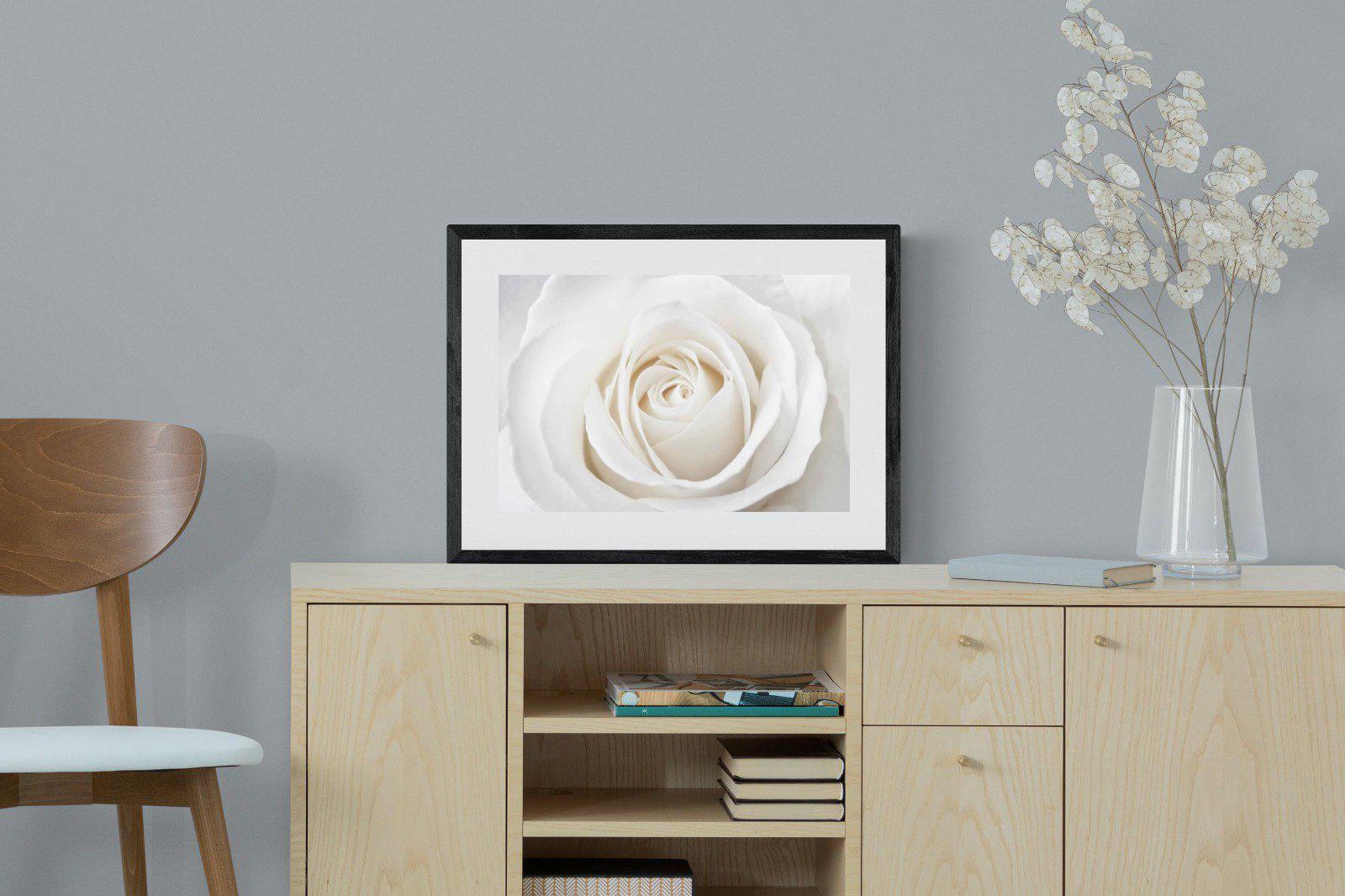 White Rose-Wall_Art-60 x 45cm-Framed Print-Black-Pixalot