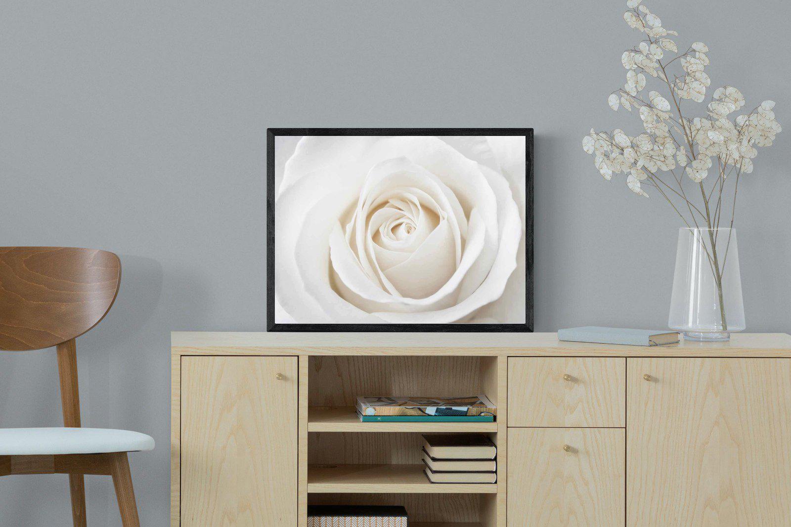 White Rose-Wall_Art-60 x 45cm-Mounted Canvas-Black-Pixalot