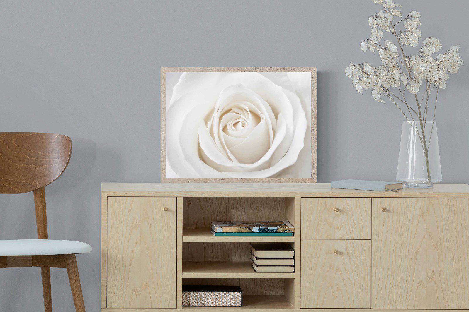 White Rose-Wall_Art-60 x 45cm-Mounted Canvas-Wood-Pixalot