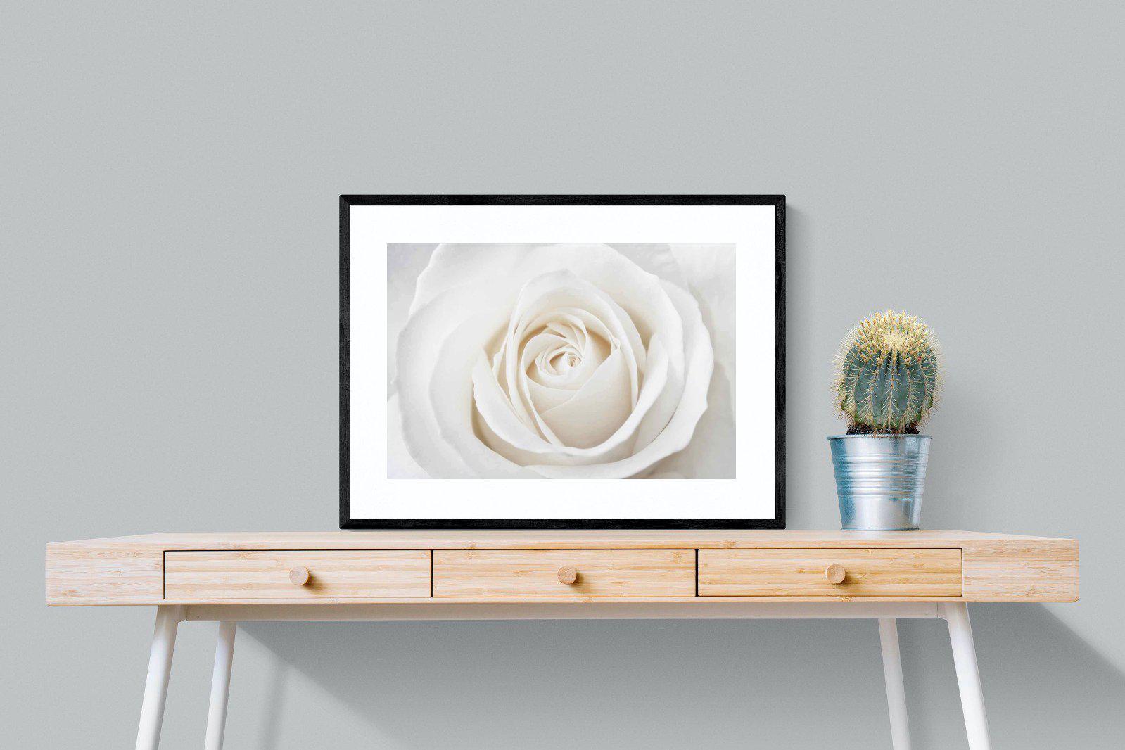 White Rose-Wall_Art-80 x 60cm-Framed Print-Black-Pixalot
