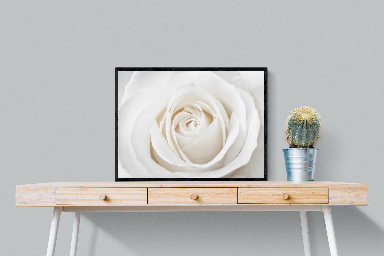 White Rose-Wall_Art-80 x 60cm-Mounted Canvas-Black-Pixalot