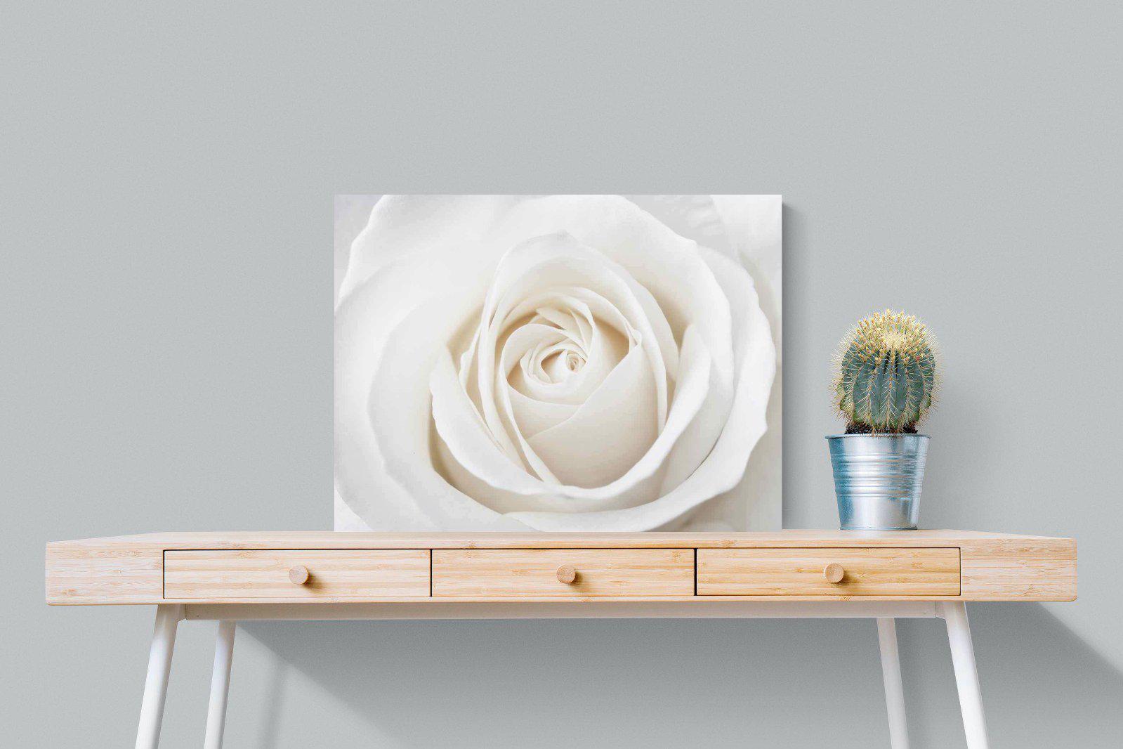 White Rose-Wall_Art-80 x 60cm-Mounted Canvas-No Frame-Pixalot