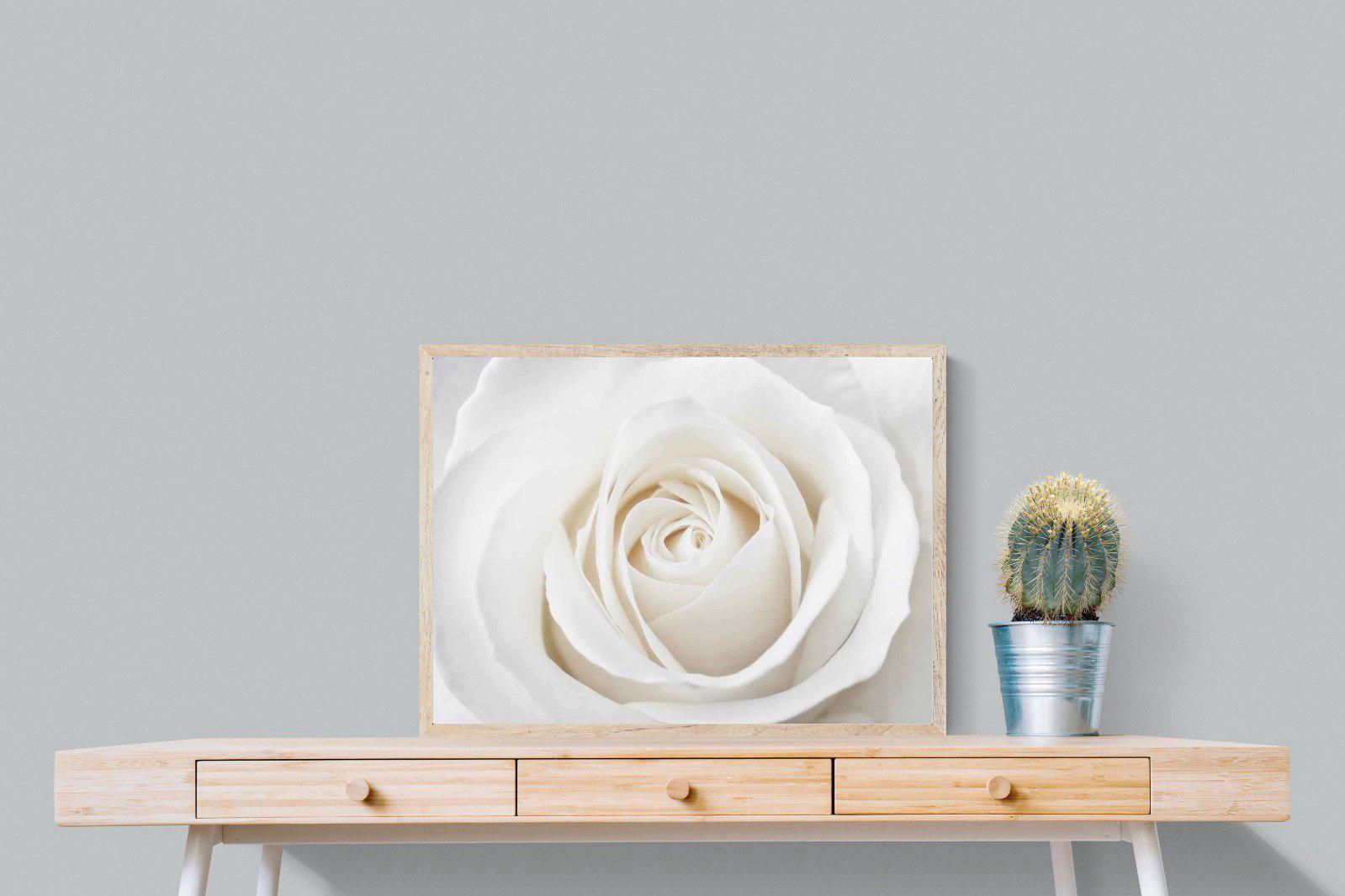 White Rose-Wall_Art-80 x 60cm-Mounted Canvas-Wood-Pixalot