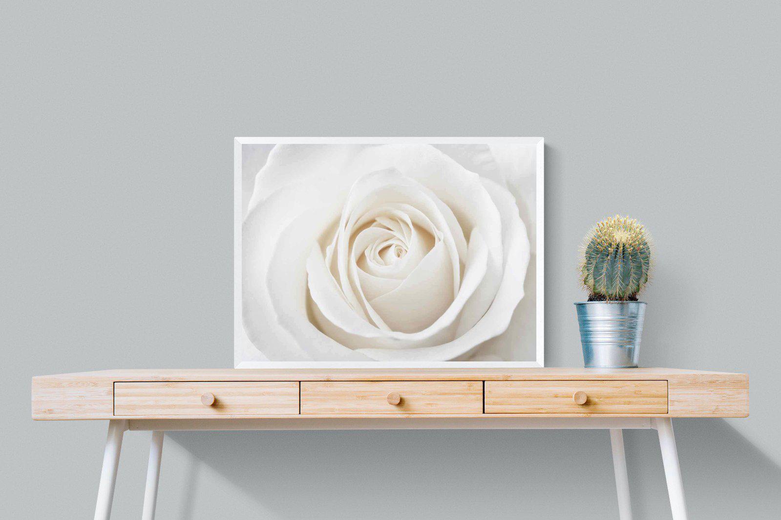 White Rose-Wall_Art-80 x 60cm-Mounted Canvas-White-Pixalot