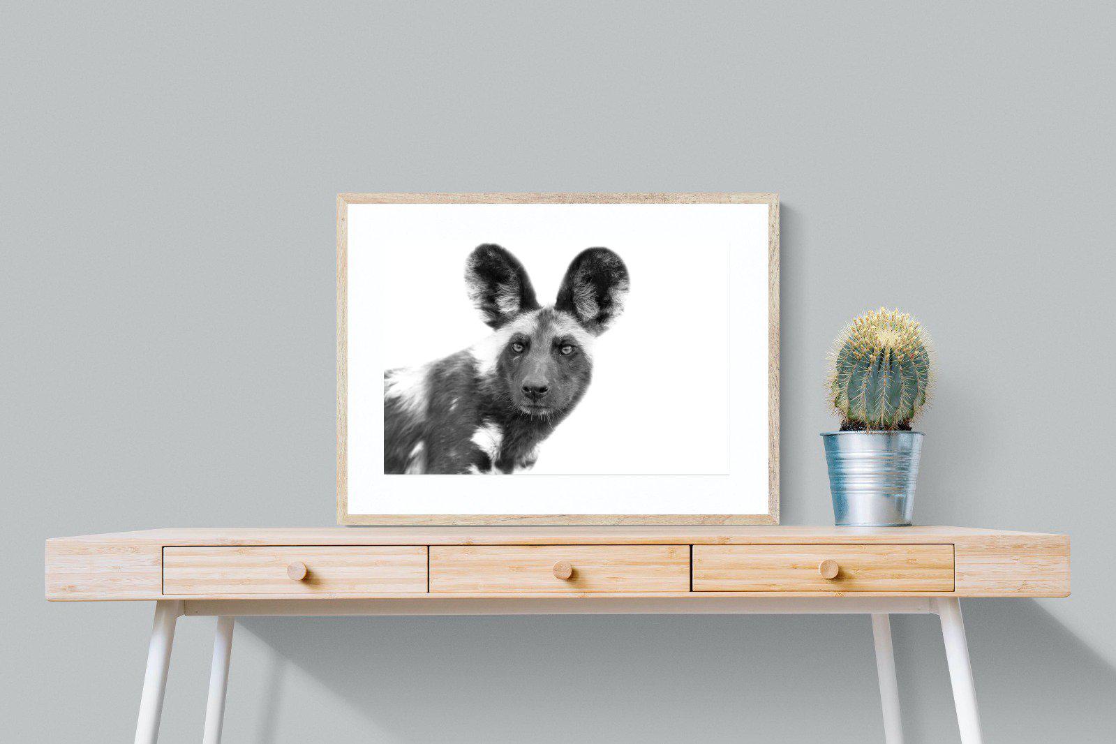 Wild Dog-Wall_Art-80 x 60cm-Framed Print-Wood-Pixalot