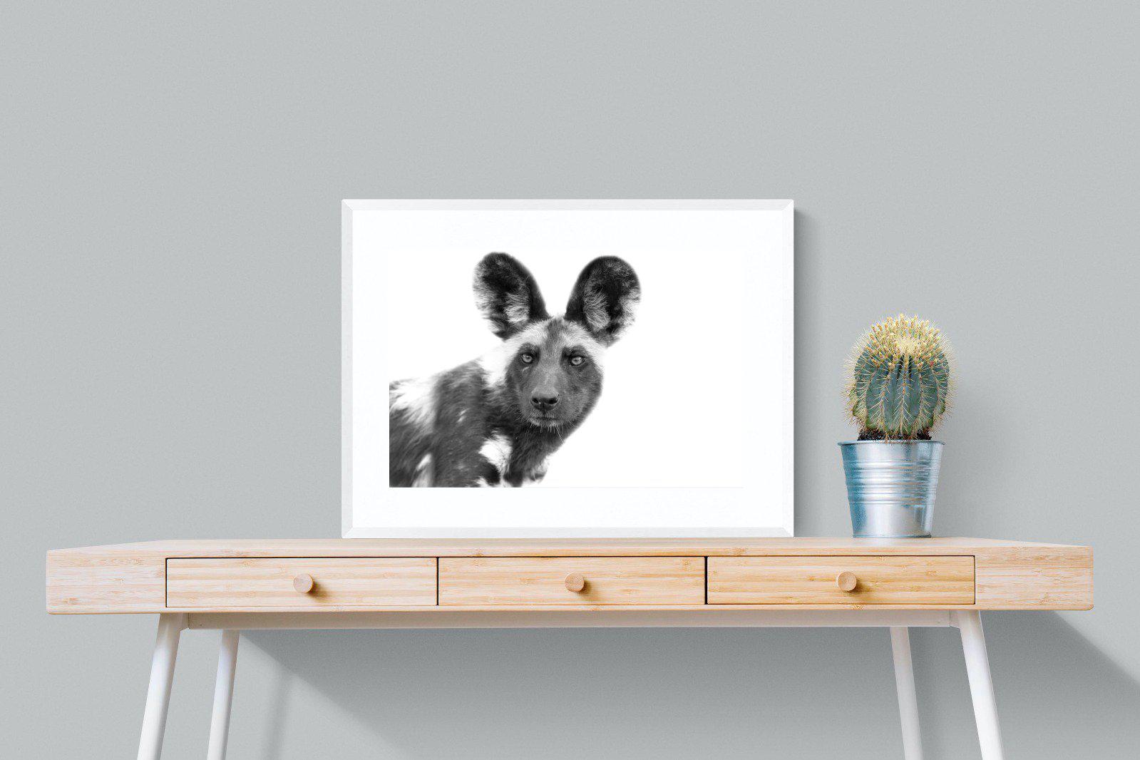 Wild Dog-Wall_Art-80 x 60cm-Framed Print-White-Pixalot