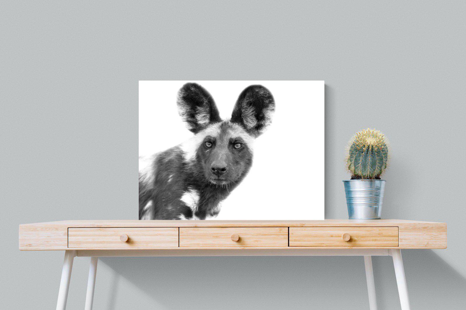 Wild Dog-Wall_Art-80 x 60cm-Mounted Canvas-No Frame-Pixalot