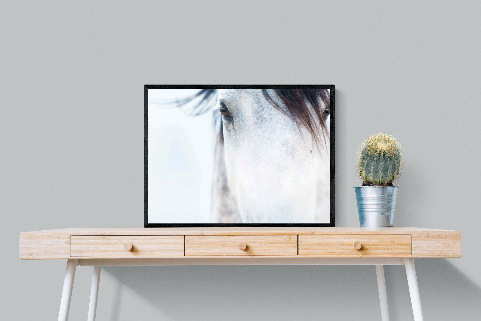 Wild Mustang-Wall_Art-80 x 60cm-Mounted Canvas-Black-Pixalot