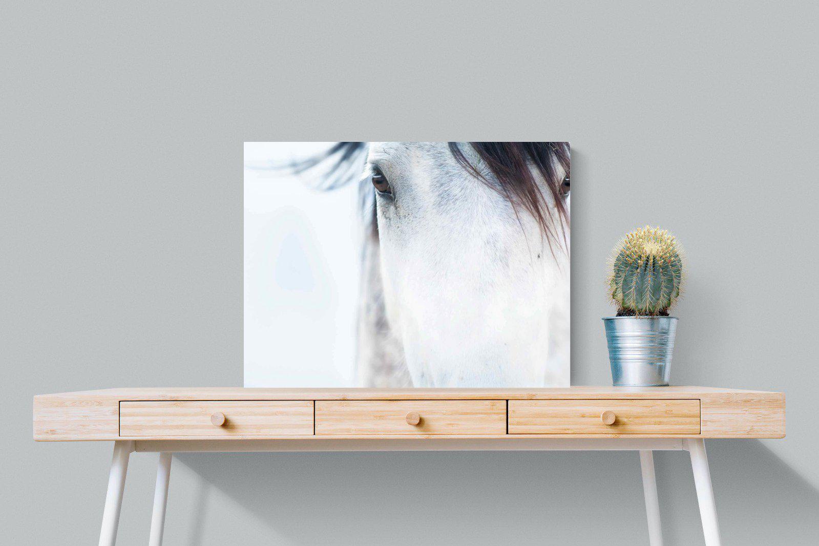 Wild Mustang-Wall_Art-80 x 60cm-Mounted Canvas-No Frame-Pixalot