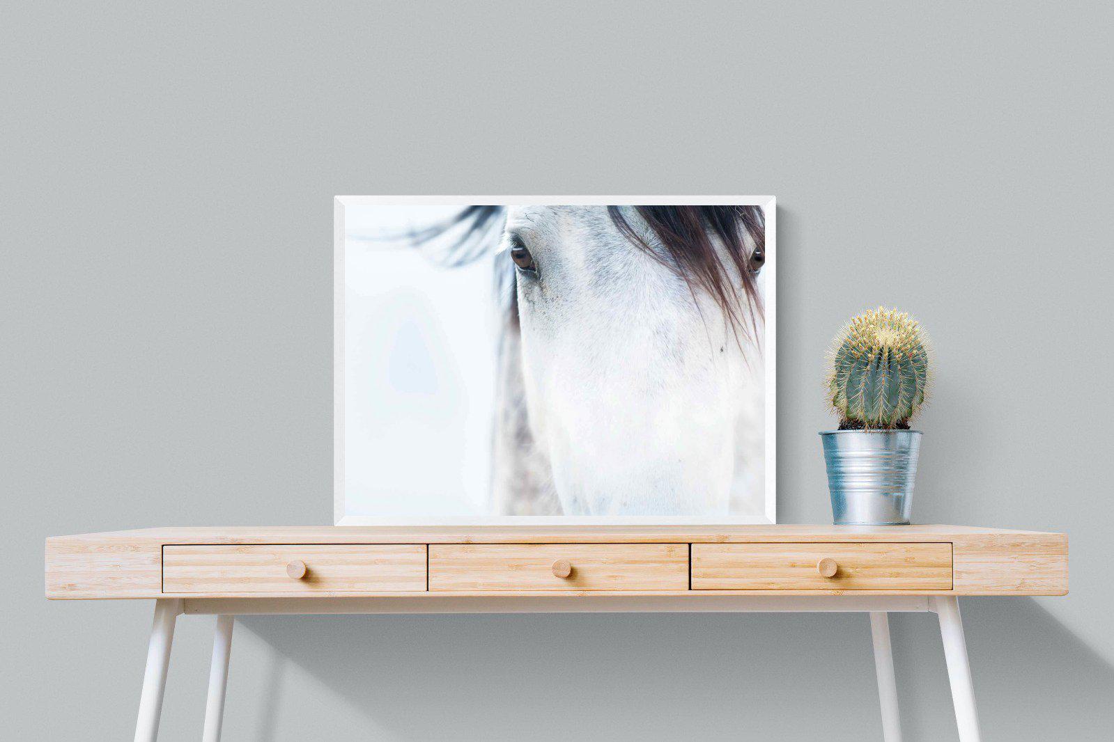Wild Mustang-Wall_Art-80 x 60cm-Mounted Canvas-White-Pixalot