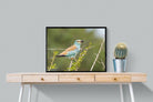 Winged Wonder-Wall_Art-80 x 60cm-Mounted Canvas-Black-Pixalot