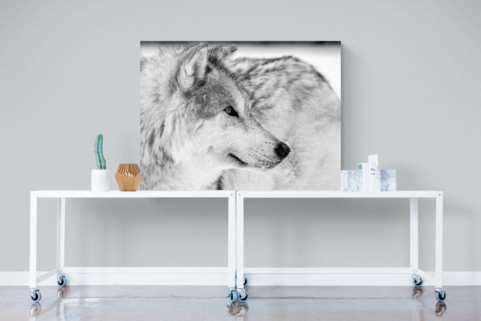 Wolf-Wall_Art-120 x 90cm-Mounted Canvas-No Frame-Pixalot