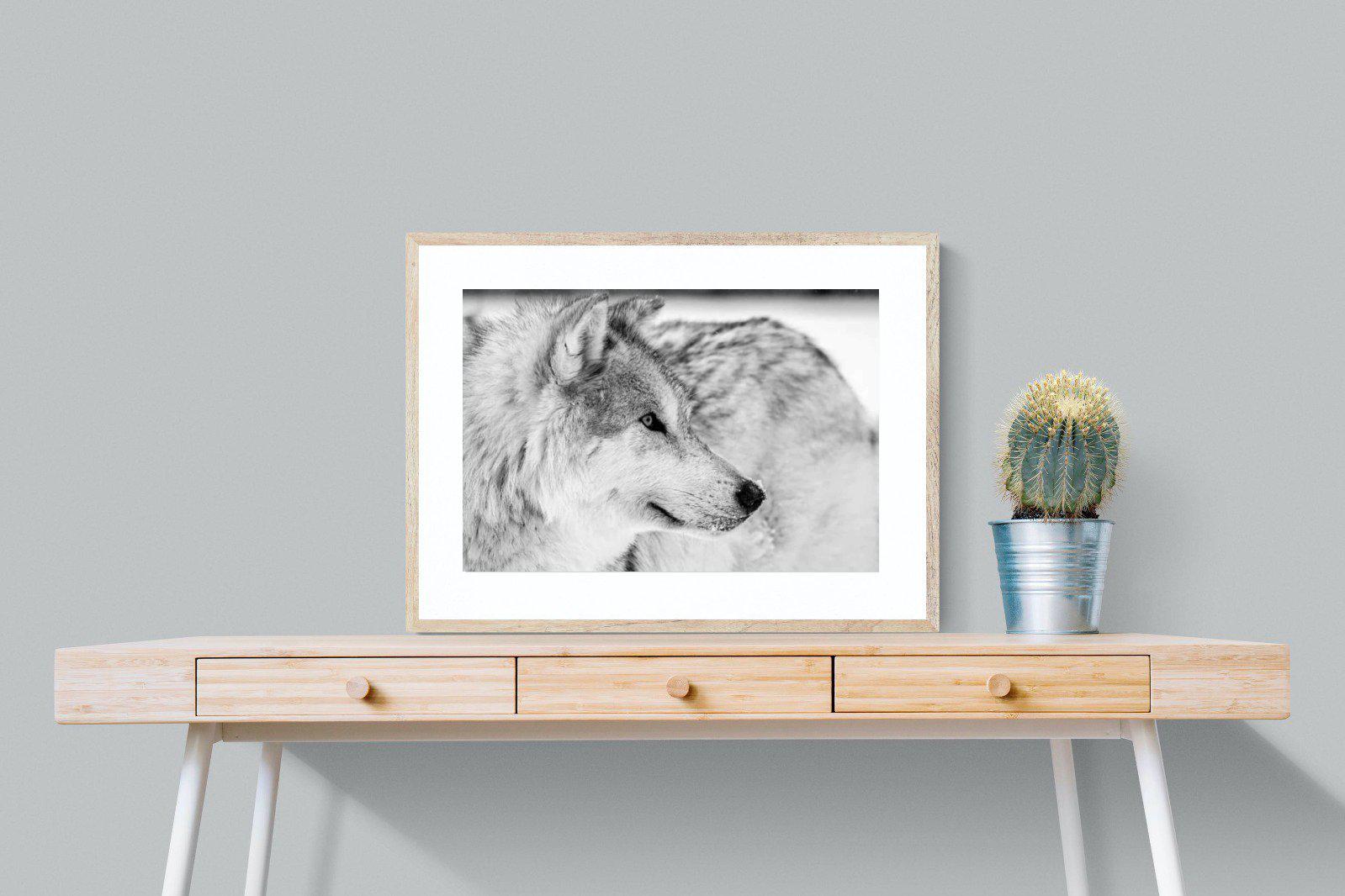 Wolf-Wall_Art-80 x 60cm-Framed Print-Wood-Pixalot