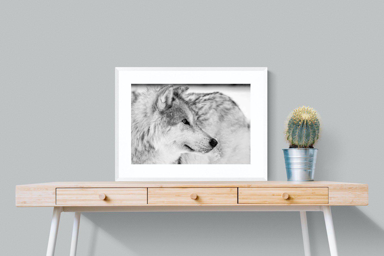 Wolf-Wall_Art-80 x 60cm-Framed Print-White-Pixalot