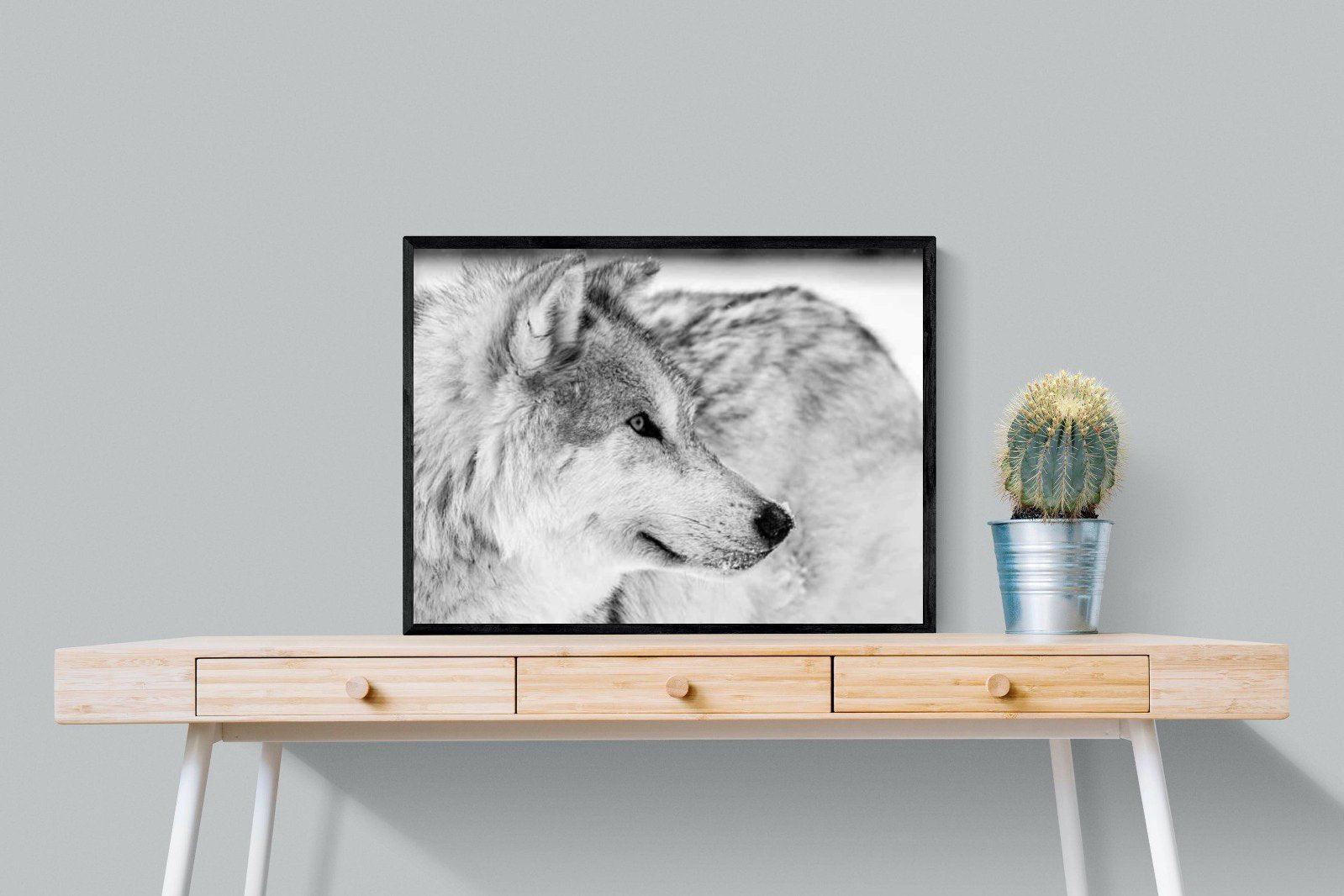 Wolf-Wall_Art-80 x 60cm-Mounted Canvas-Black-Pixalot