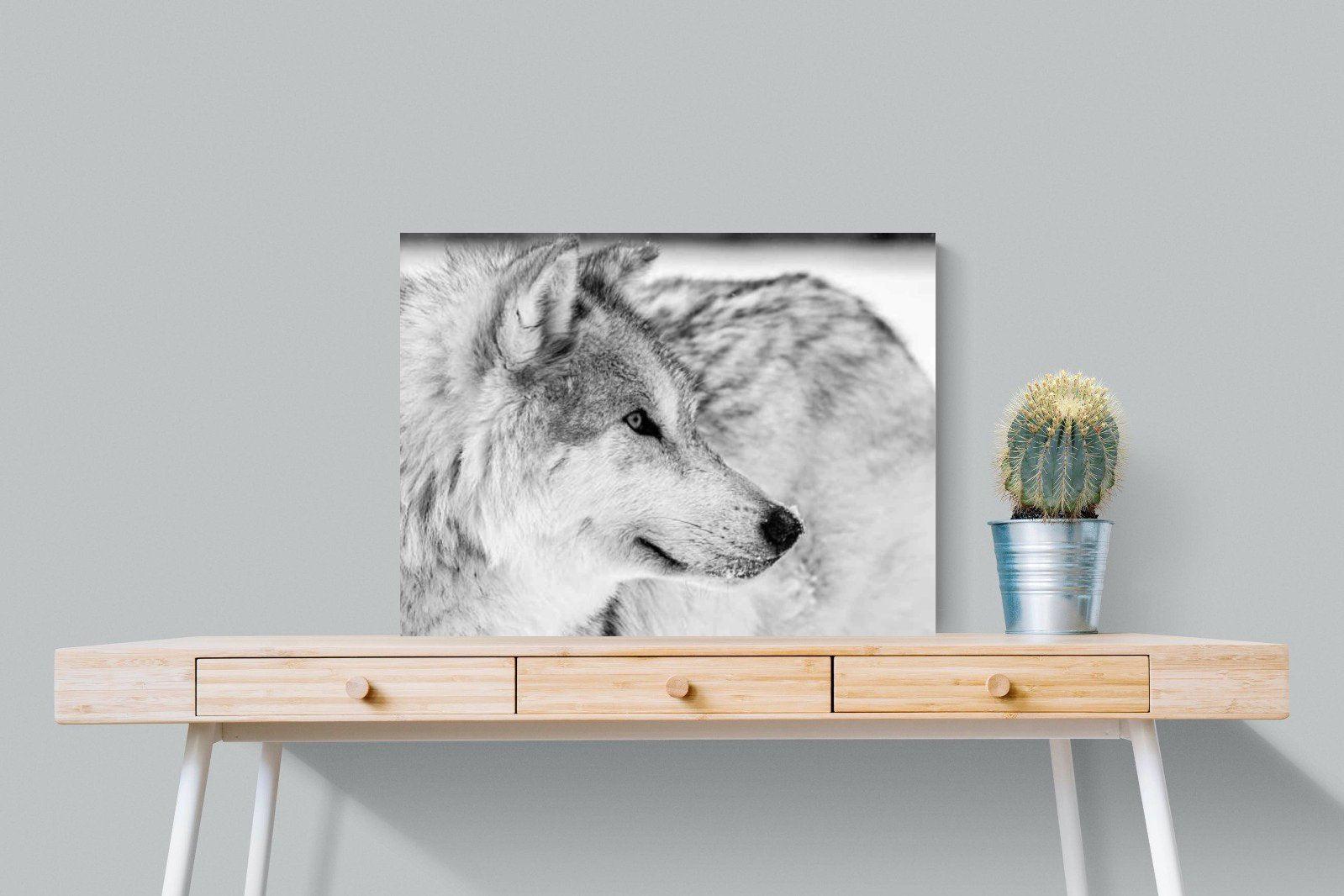Wolf-Wall_Art-80 x 60cm-Mounted Canvas-No Frame-Pixalot