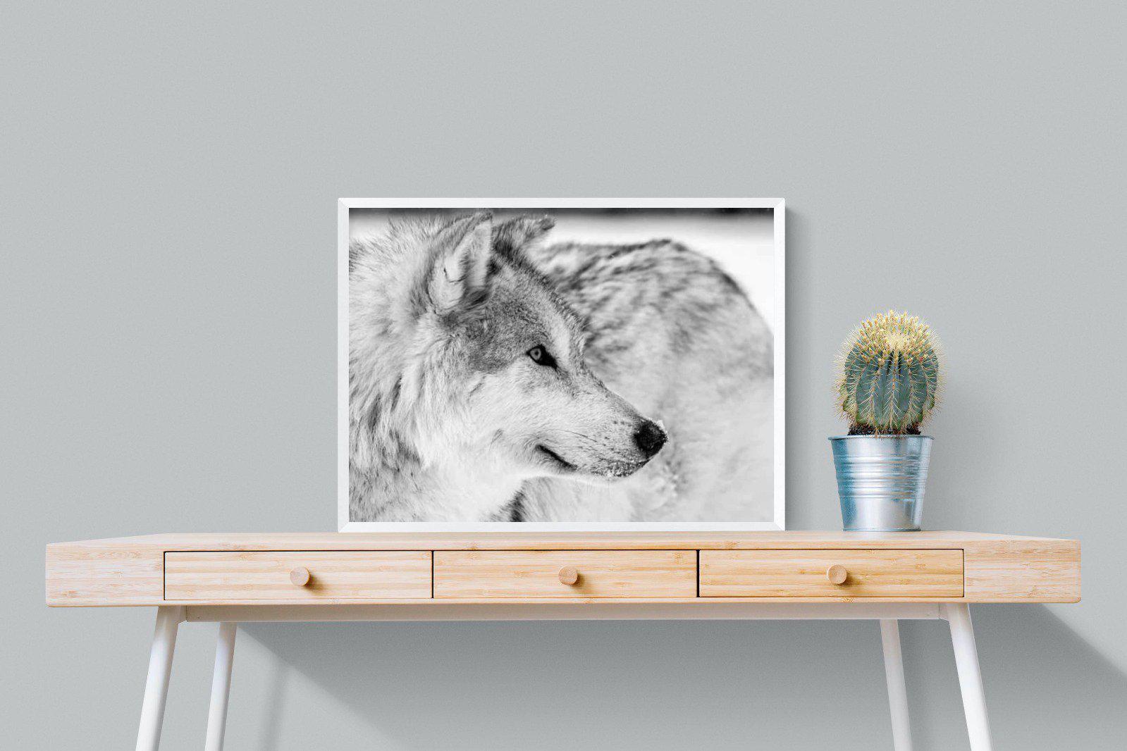 Wolf-Wall_Art-80 x 60cm-Mounted Canvas-White-Pixalot