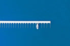Yacht Club-Wall_Art-Pixalot