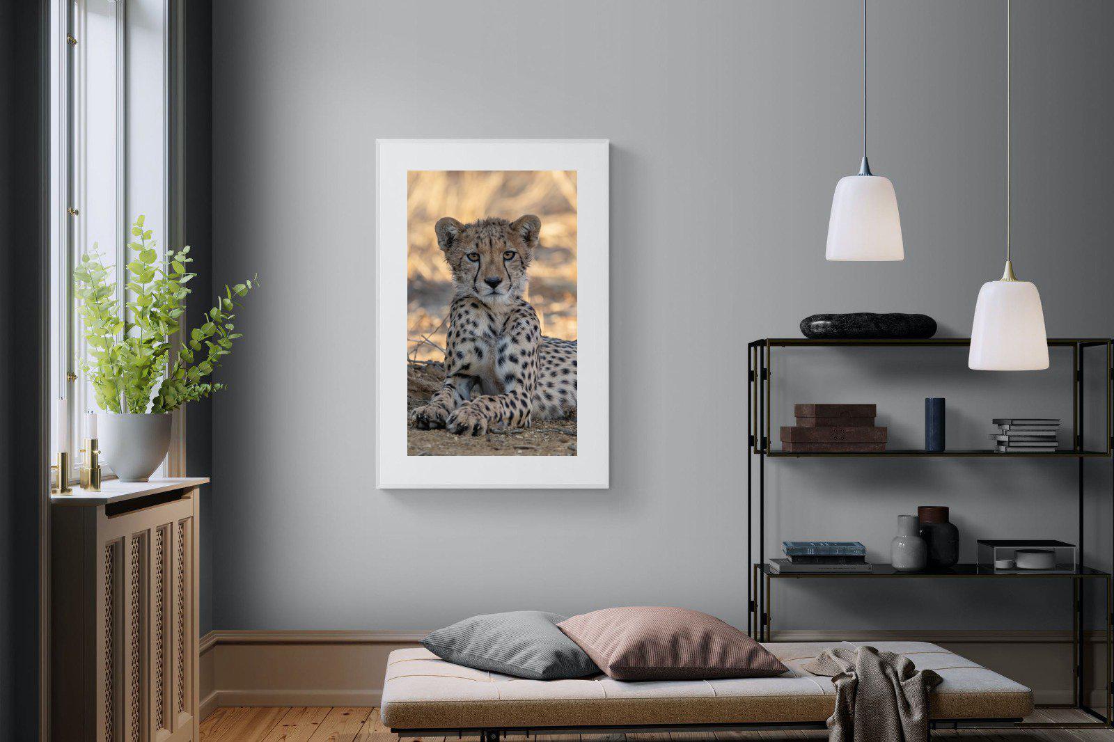 Young Cheetah-Wall_Art-100 x 150cm-Framed Print-White-Pixalot