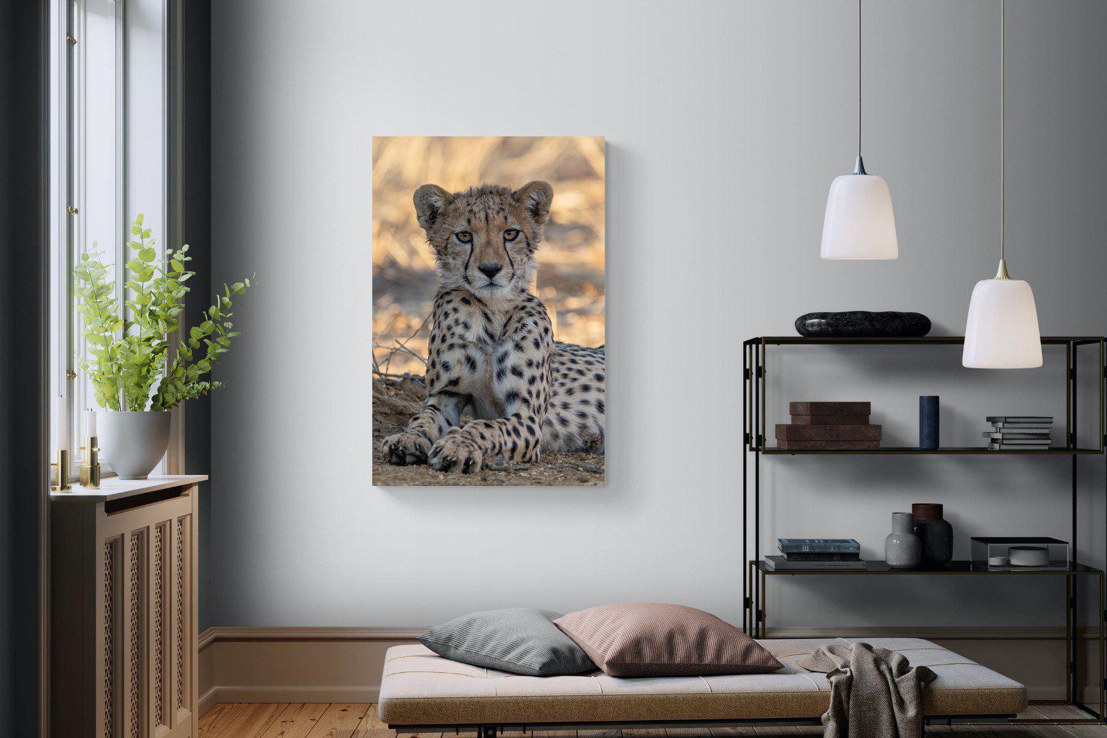 Young Cheetah-Wall_Art-100 x 150cm-Mounted Canvas-No Frame-Pixalot