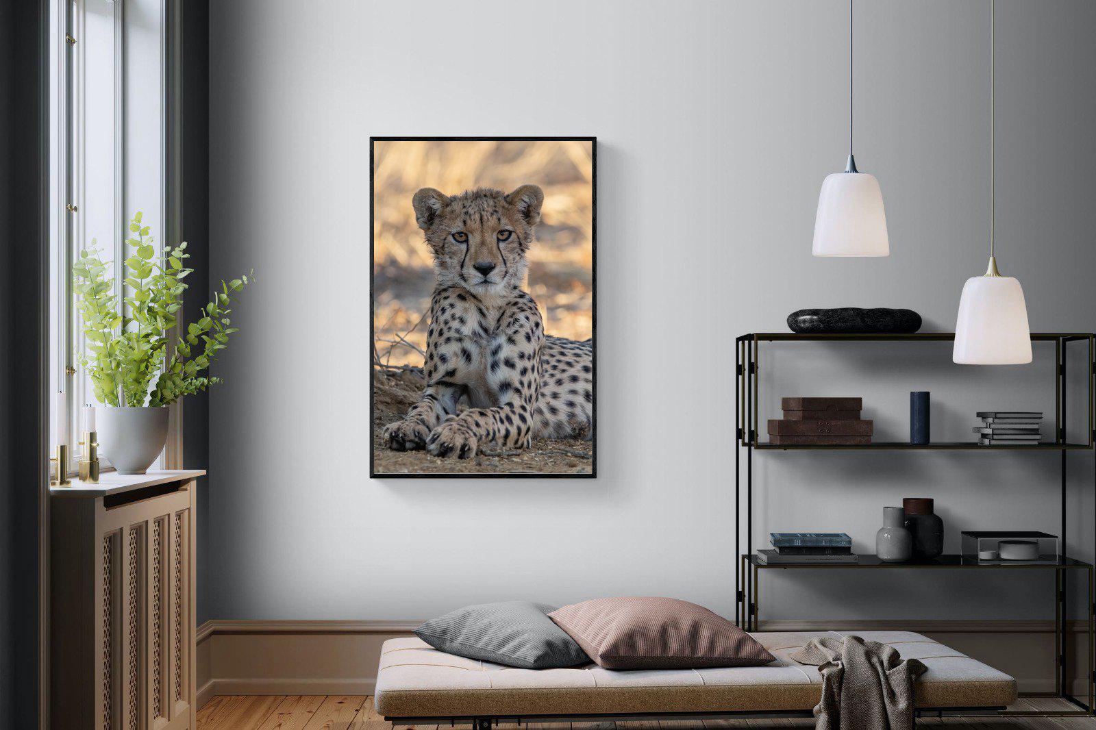 Young Cheetah-Wall_Art-100 x 150cm-Mounted Canvas-Black-Pixalot