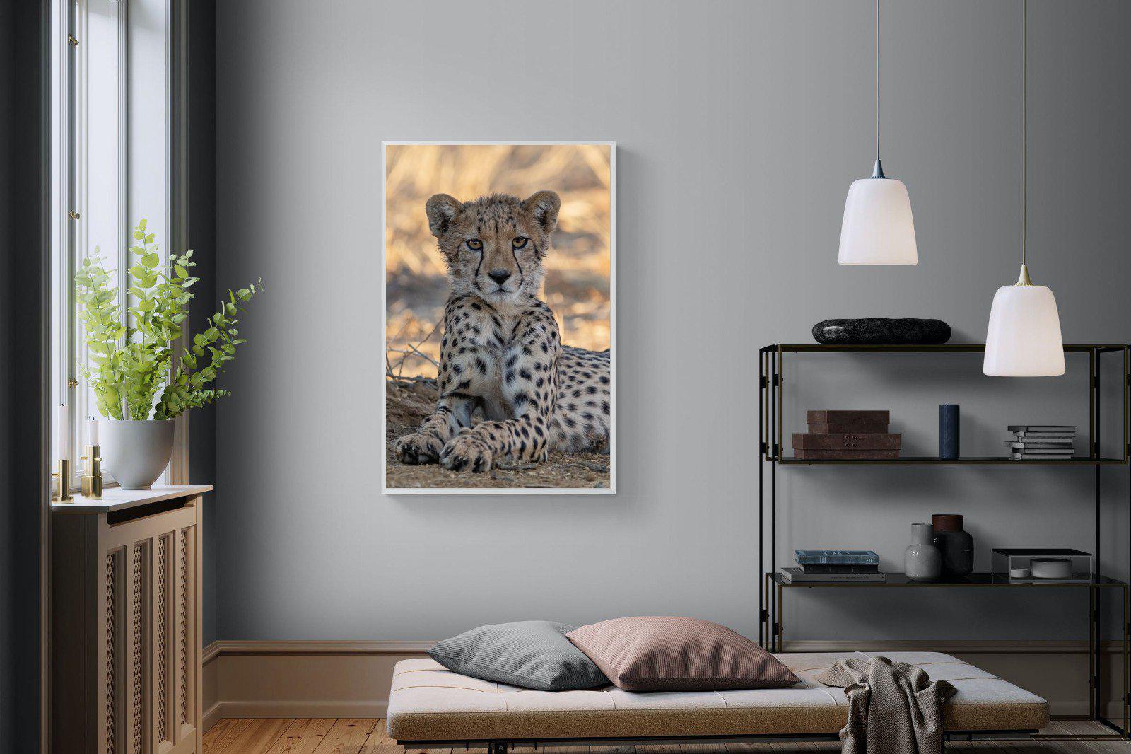 Young Cheetah-Wall_Art-100 x 150cm-Mounted Canvas-White-Pixalot
