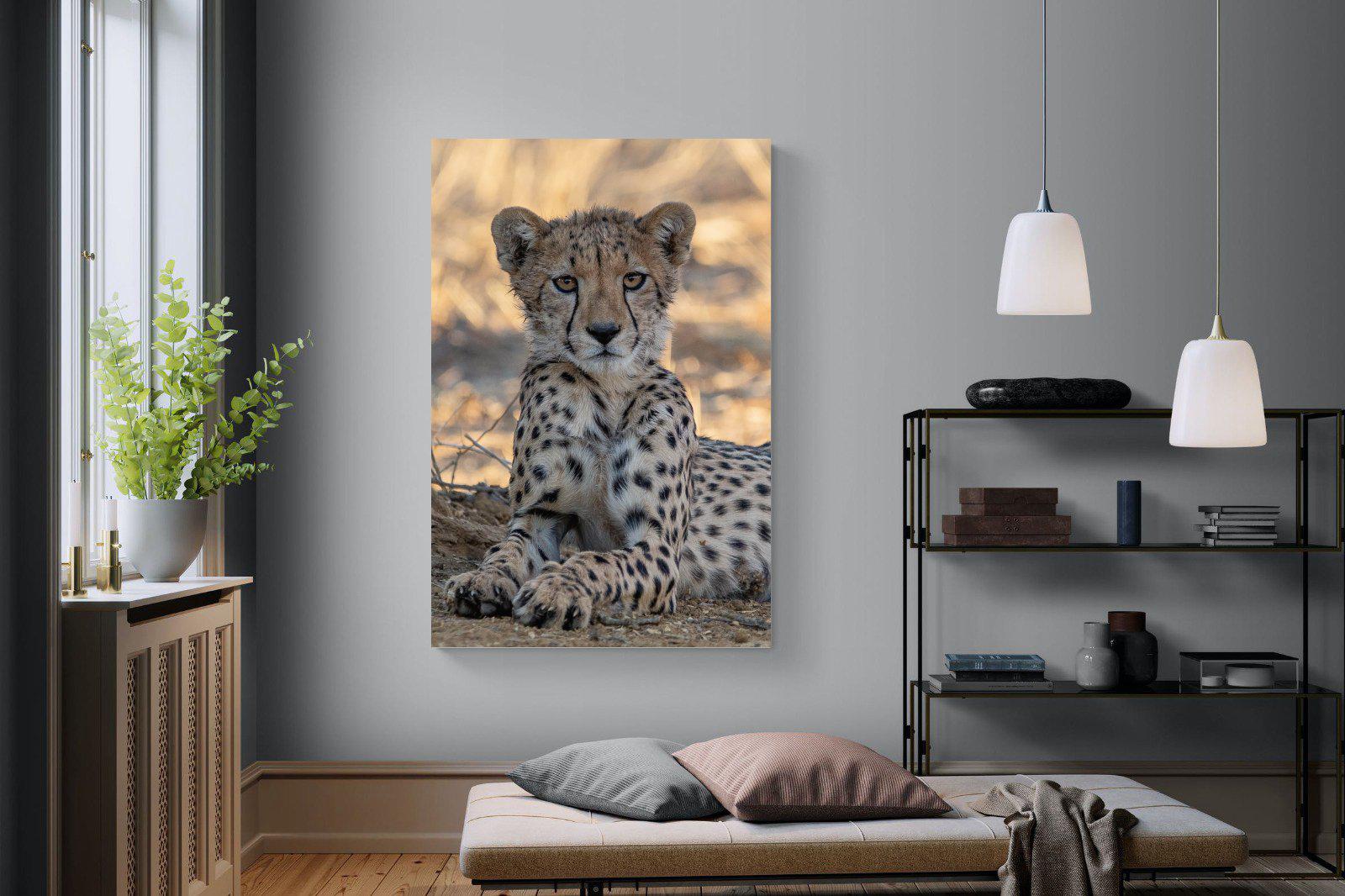 Young Cheetah-Wall_Art-120 x 180cm-Mounted Canvas-No Frame-Pixalot