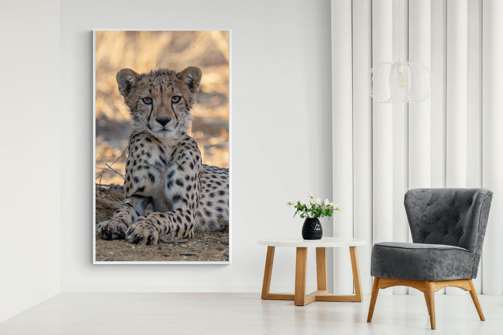 Young Cheetah-Wall_Art-130 x 220cm-Mounted Canvas-White-Pixalot
