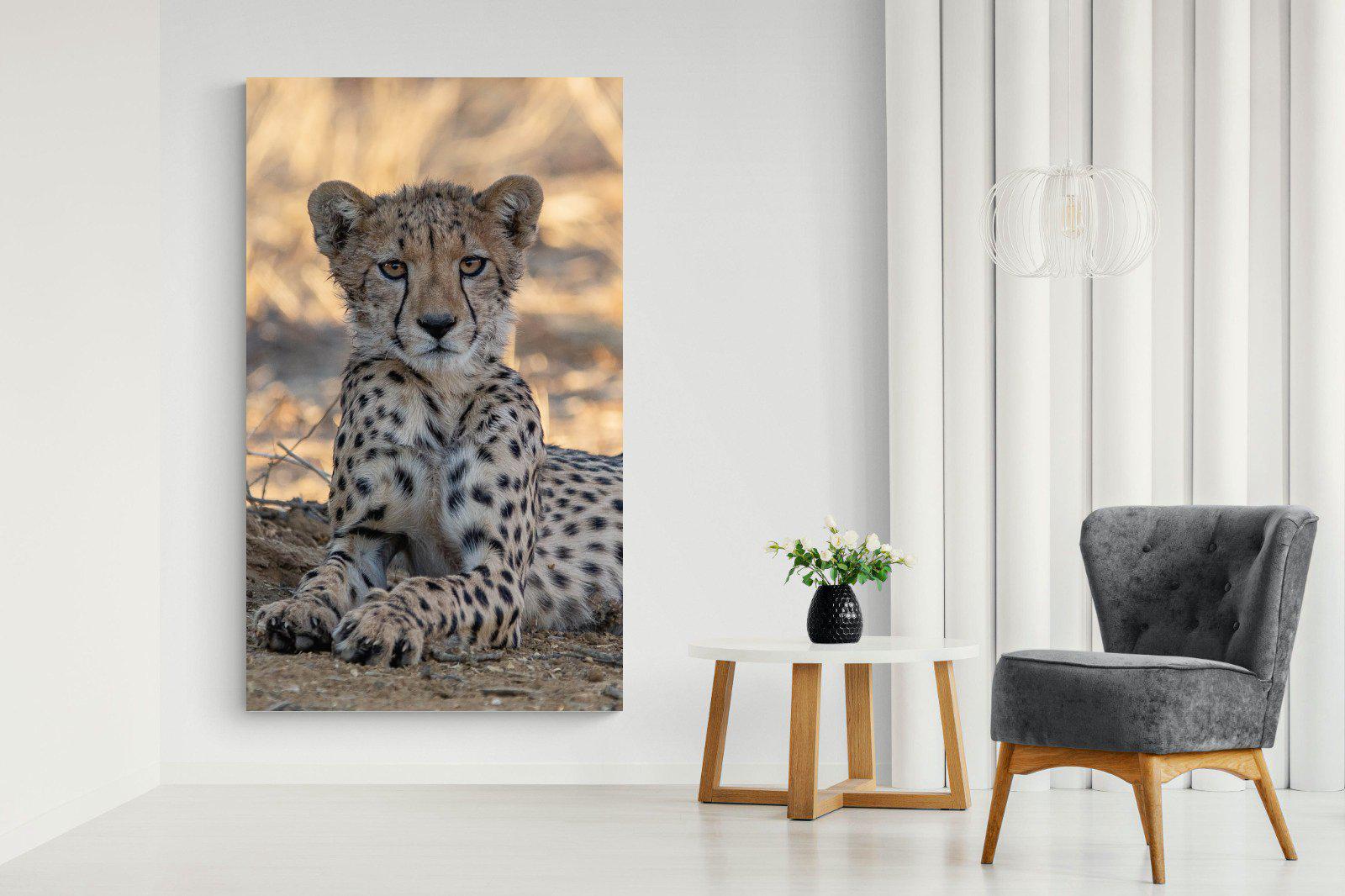 Young Cheetah-Wall_Art-130 x 220cm-Mounted Canvas-No Frame-Pixalot