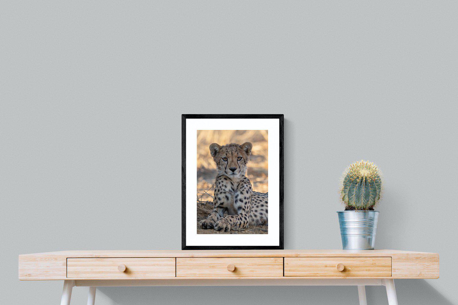 Young Cheetah-Wall_Art-45 x 60cm-Framed Print-Black-Pixalot