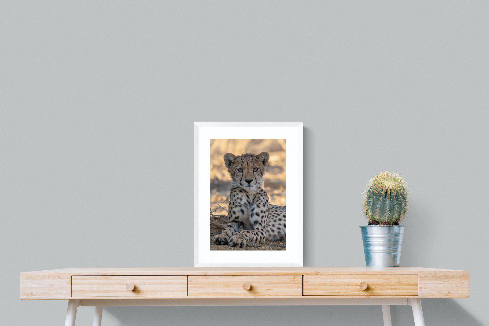Young Cheetah-Wall_Art-45 x 60cm-Framed Print-White-Pixalot