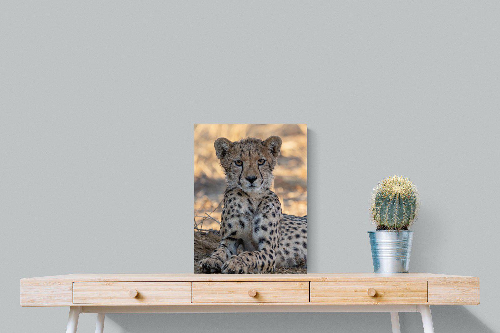 Young Cheetah-Wall_Art-45 x 60cm-Mounted Canvas-No Frame-Pixalot