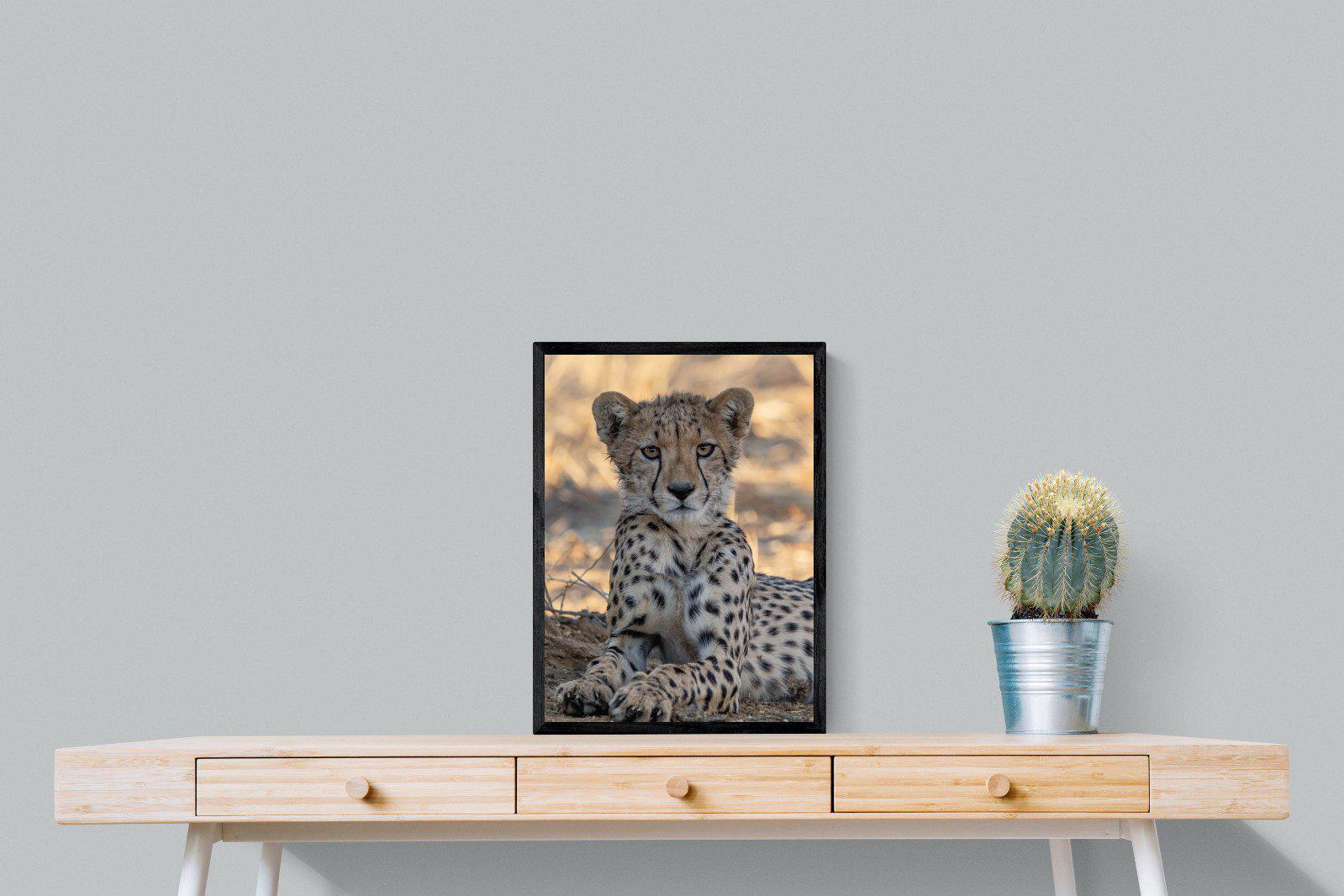 Young Cheetah-Wall_Art-45 x 60cm-Mounted Canvas-Black-Pixalot