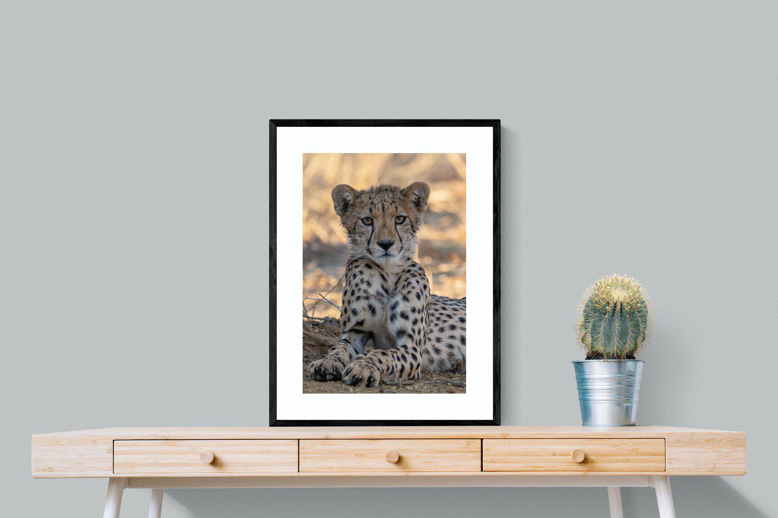 Young Cheetah-Wall_Art-60 x 80cm-Framed Print-Black-Pixalot