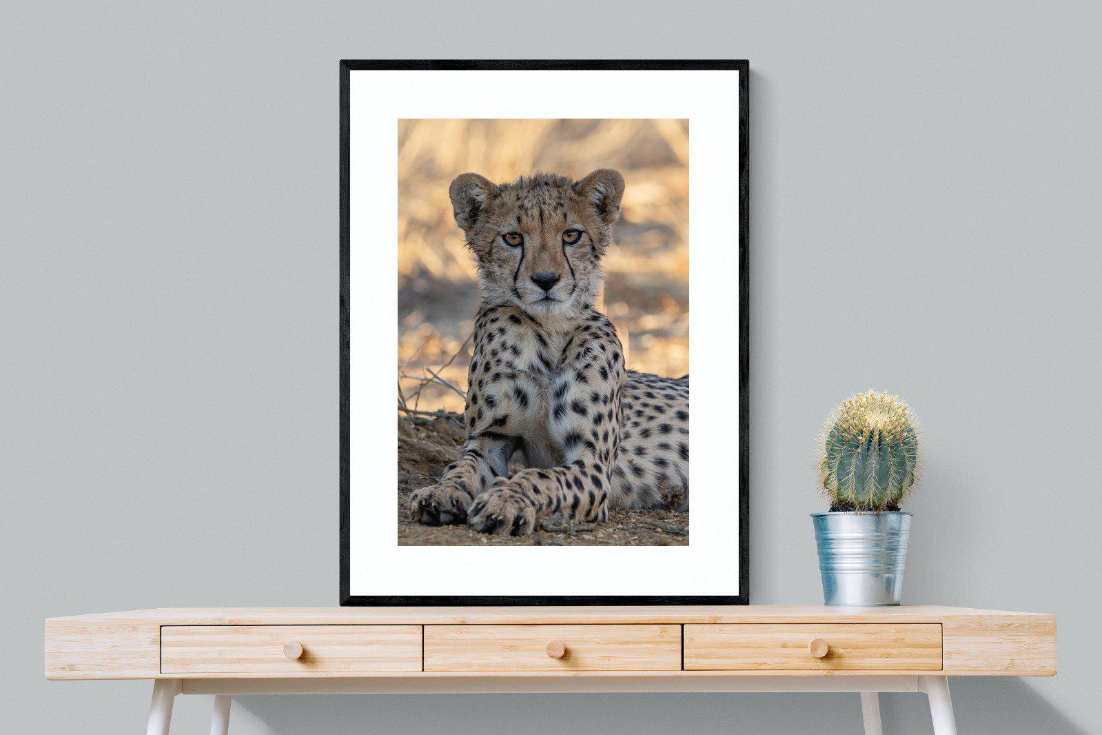 Young Cheetah-Wall_Art-75 x 100cm-Framed Print-Black-Pixalot