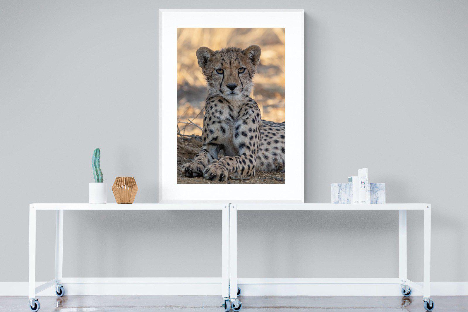 Young Cheetah-Wall_Art-90 x 120cm-Framed Print-White-Pixalot