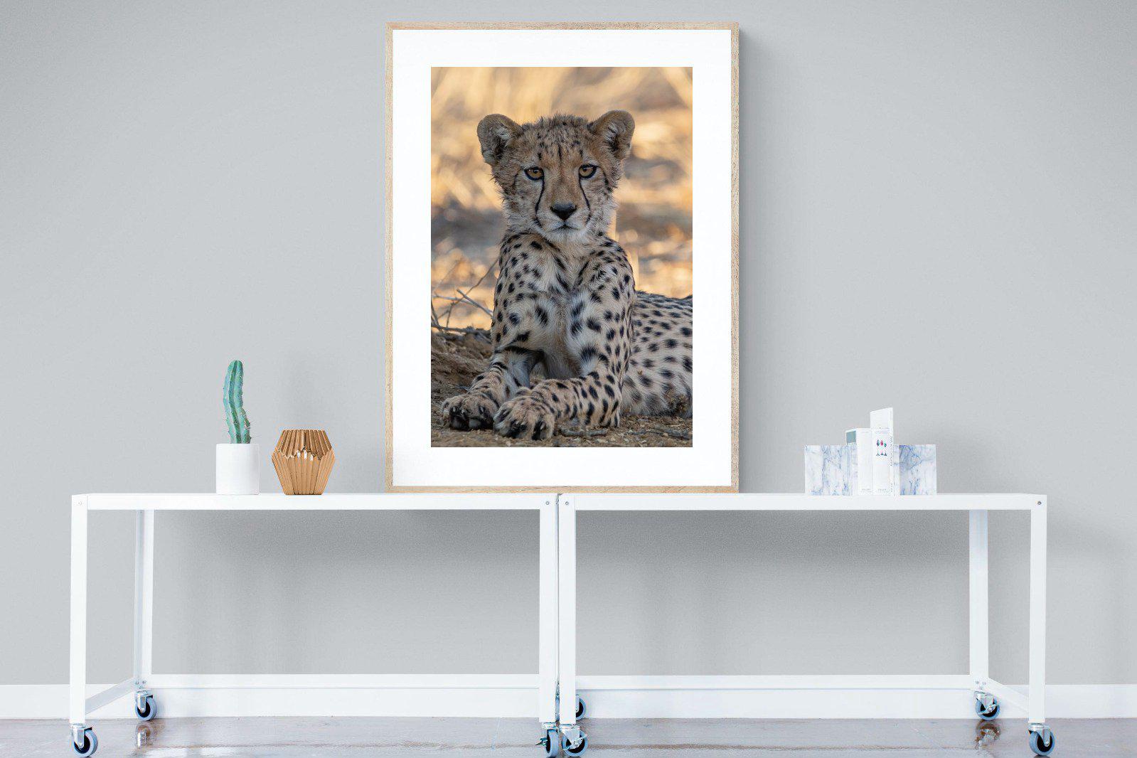 Young Cheetah-Wall_Art-90 x 120cm-Framed Print-Wood-Pixalot