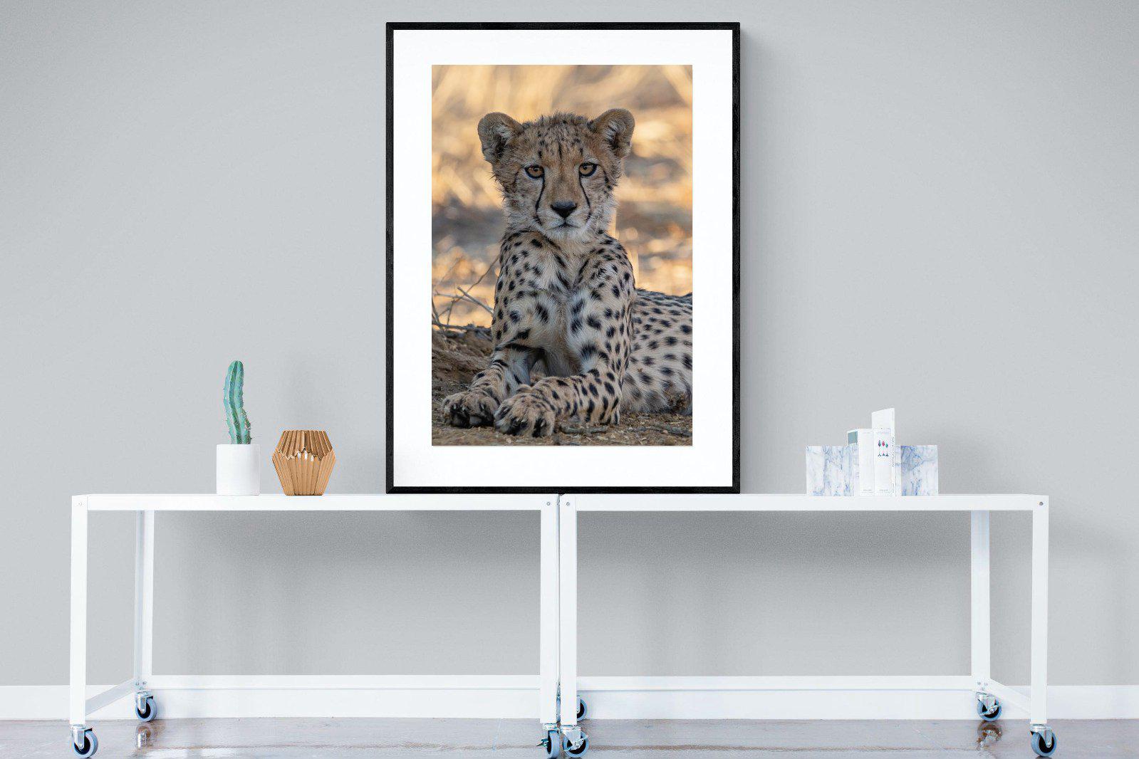 Young Cheetah-Wall_Art-90 x 120cm-Framed Print-Black-Pixalot