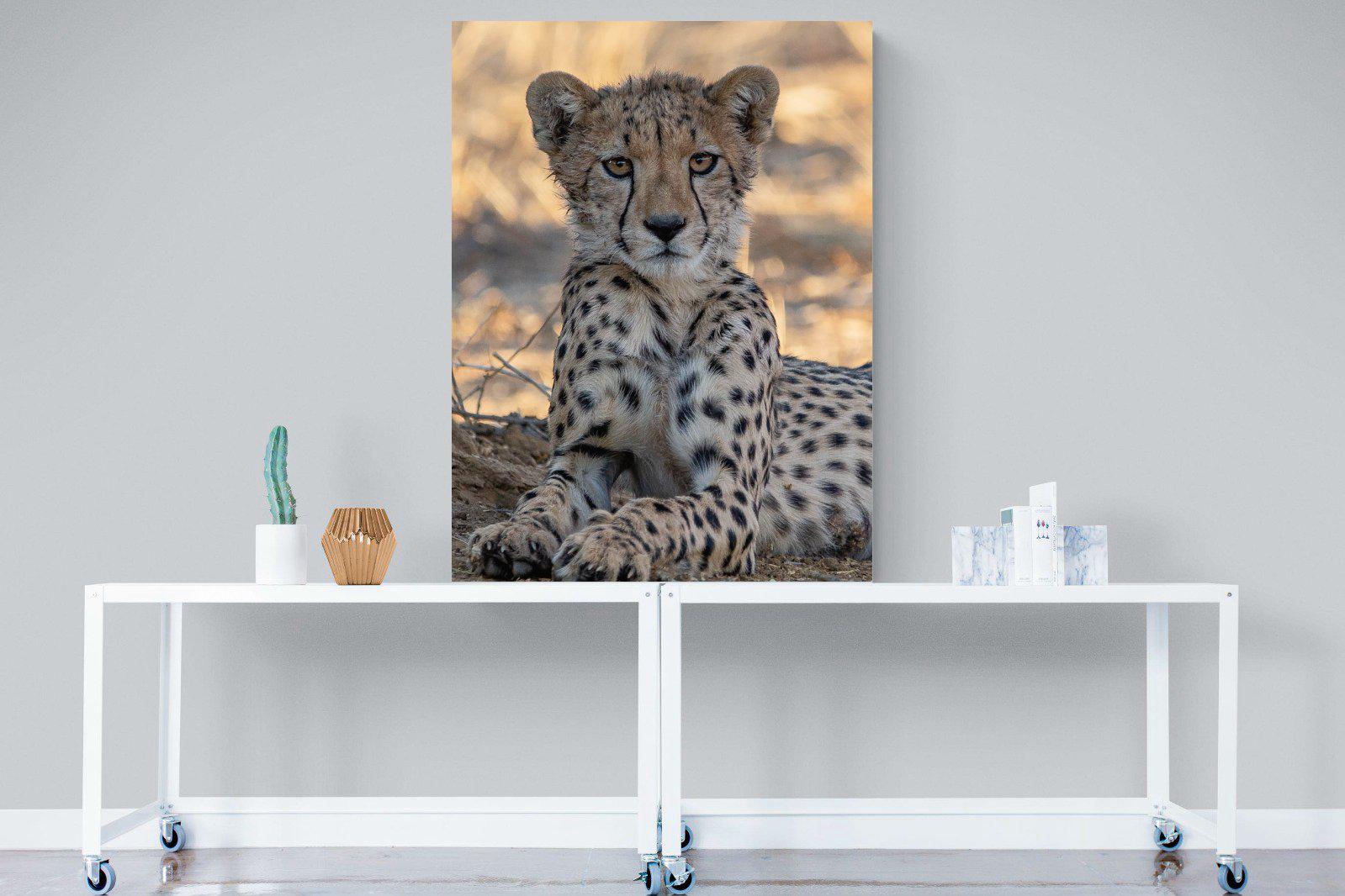 Young Cheetah-Wall_Art-90 x 120cm-Mounted Canvas-No Frame-Pixalot