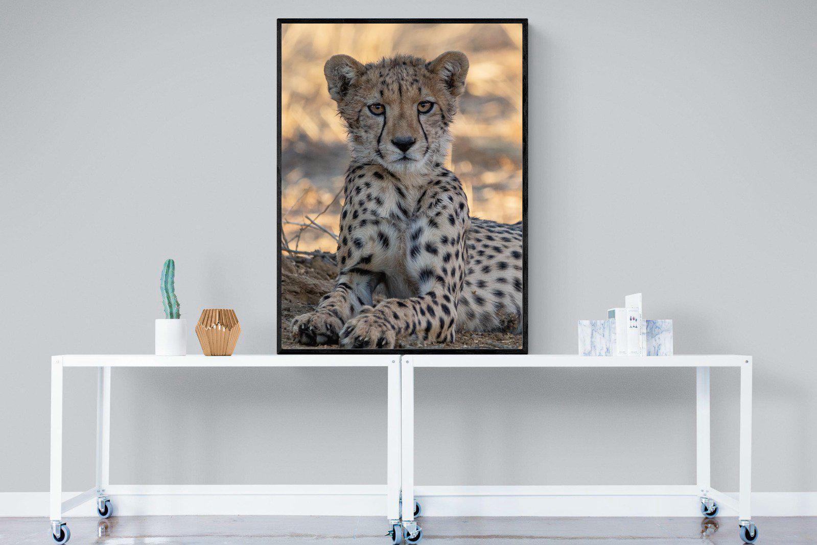 Young Cheetah-Wall_Art-90 x 120cm-Mounted Canvas-Black-Pixalot