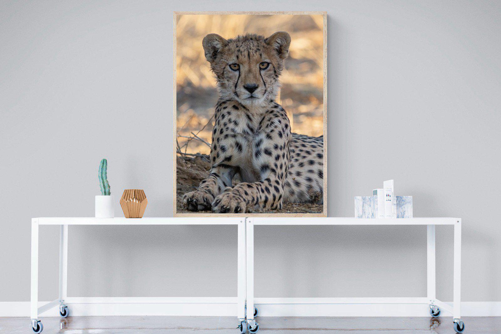 Young Cheetah-Wall_Art-90 x 120cm-Mounted Canvas-Wood-Pixalot