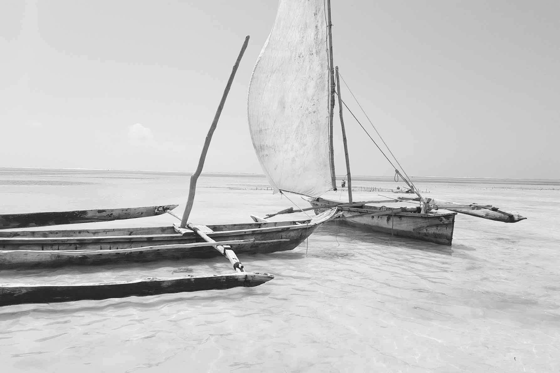 Zanzibar Fishing Boats-Wall_Art-Pixalot