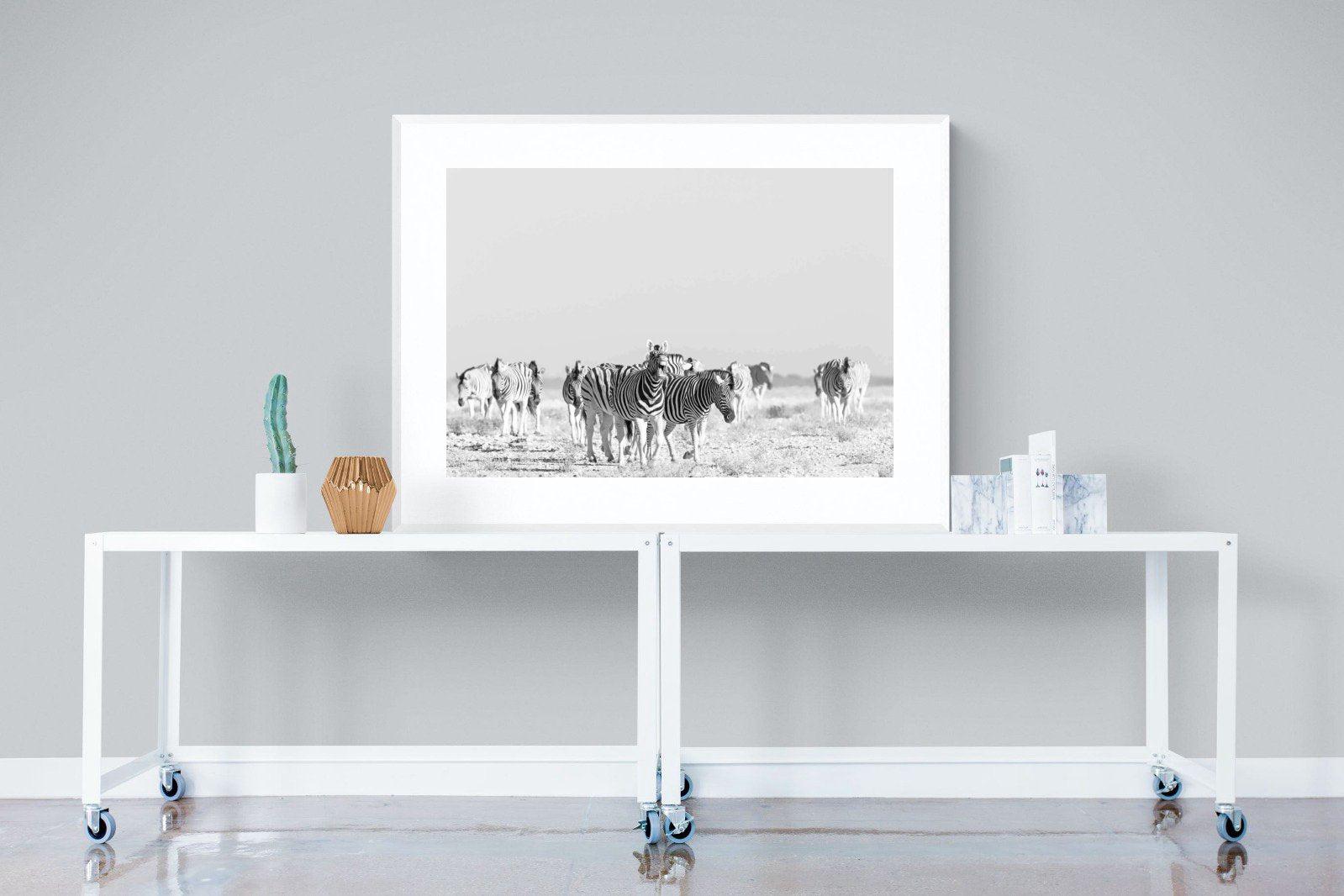 Zebra Herd-Wall_Art-120 x 90cm-Framed Print-White-Pixalot