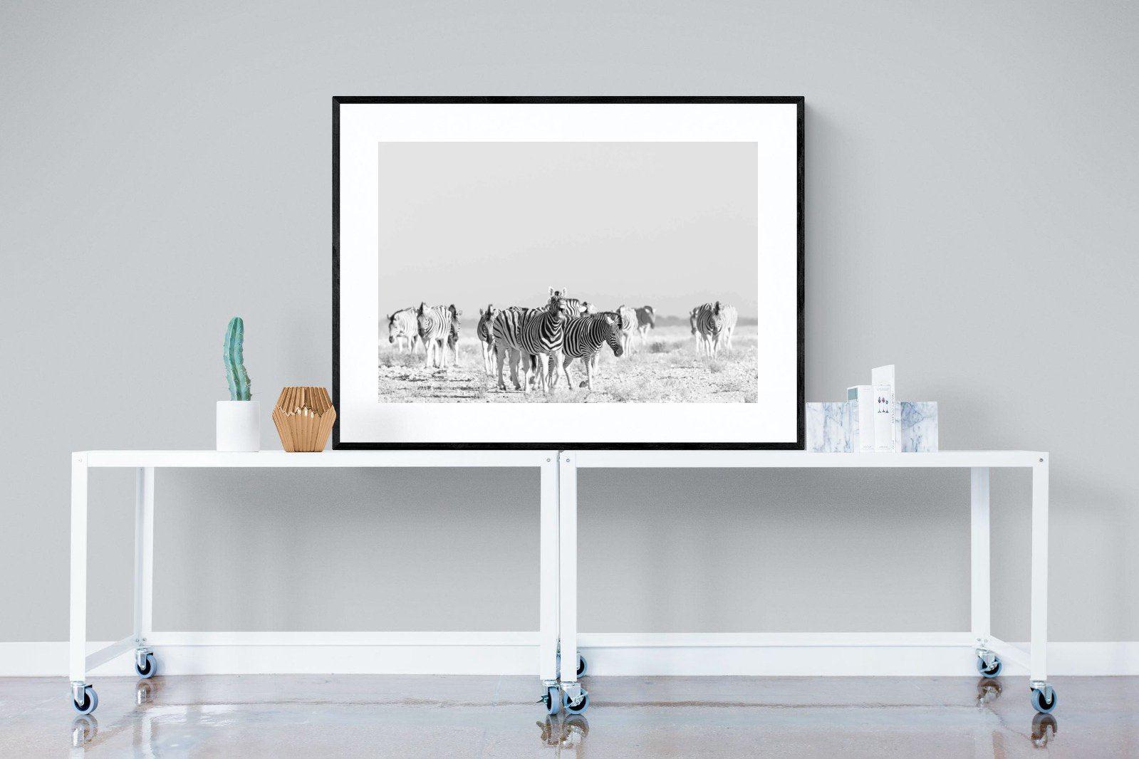 Zebra Herd-Wall_Art-120 x 90cm-Framed Print-Black-Pixalot