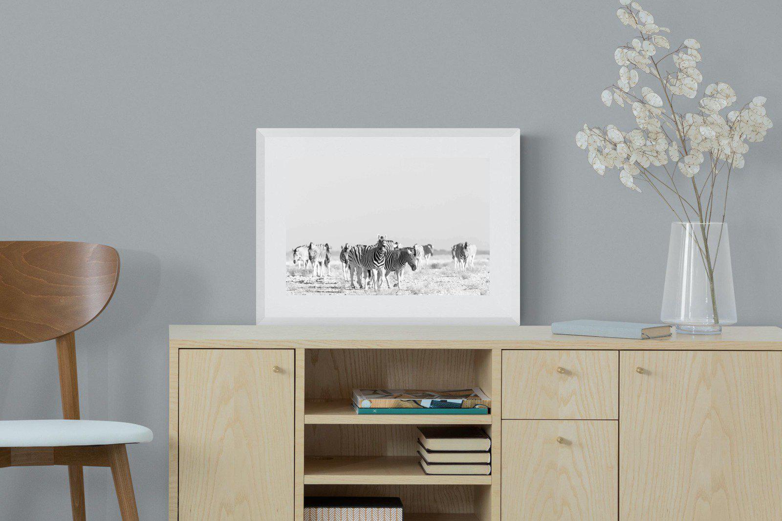 Zebra Herd-Wall_Art-60 x 45cm-Framed Print-White-Pixalot
