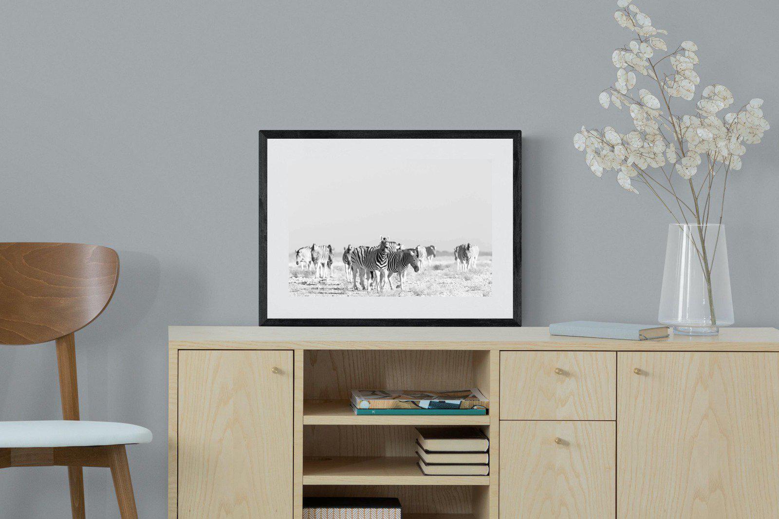 Zebra Herd-Wall_Art-60 x 45cm-Framed Print-Black-Pixalot