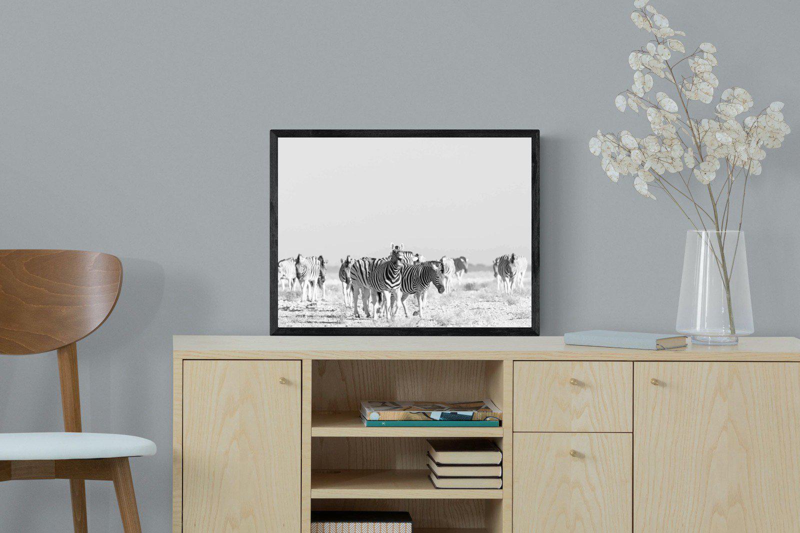 Zebra Herd-Wall_Art-60 x 45cm-Mounted Canvas-Black-Pixalot