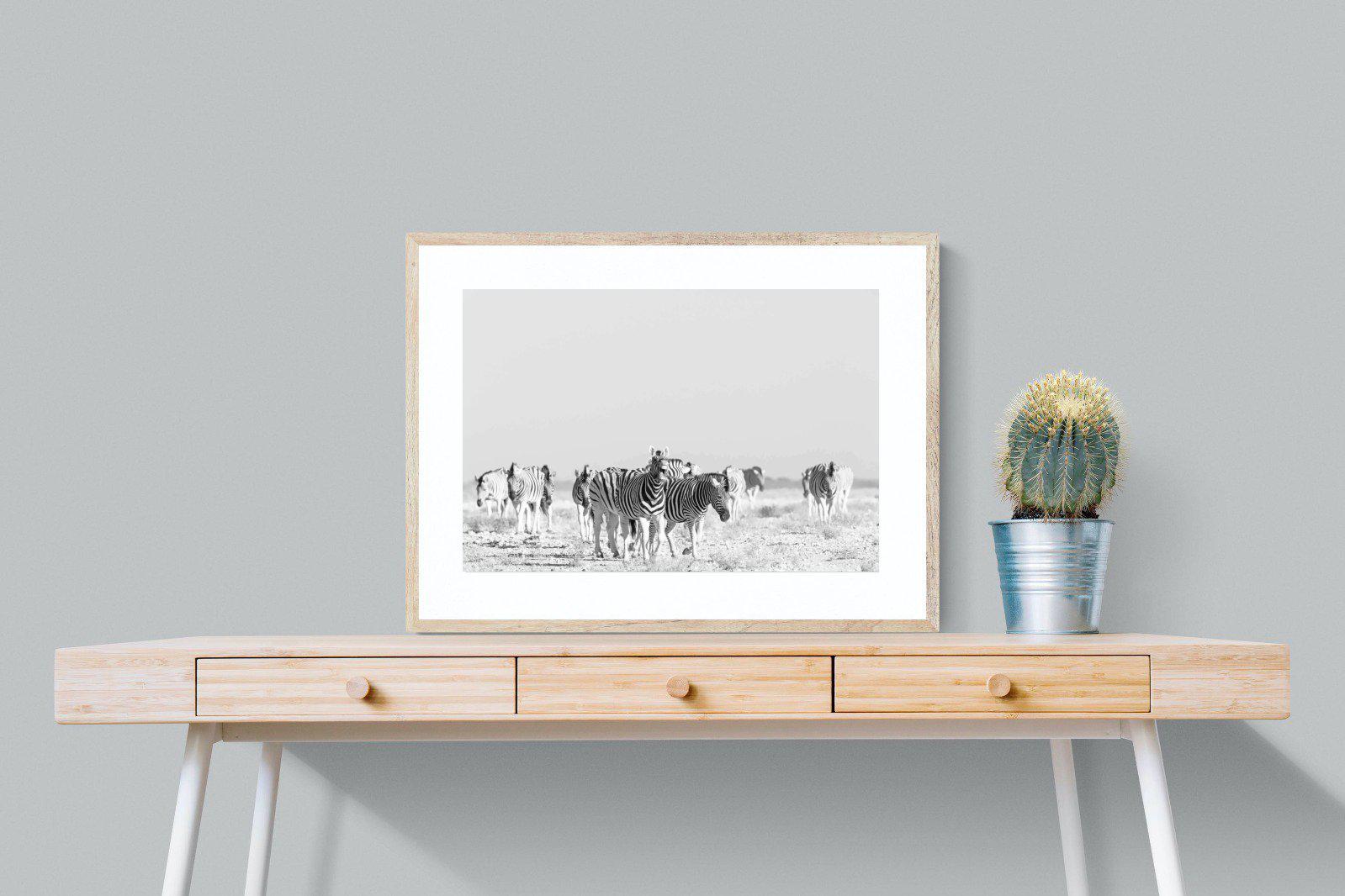 Zebra Herd-Wall_Art-80 x 60cm-Framed Print-Wood-Pixalot